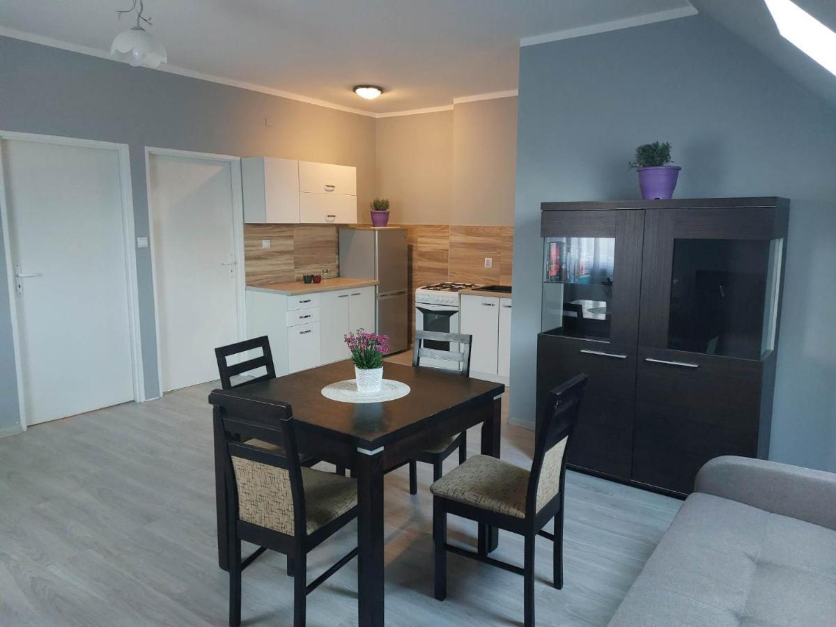Jagodzianka Apartment